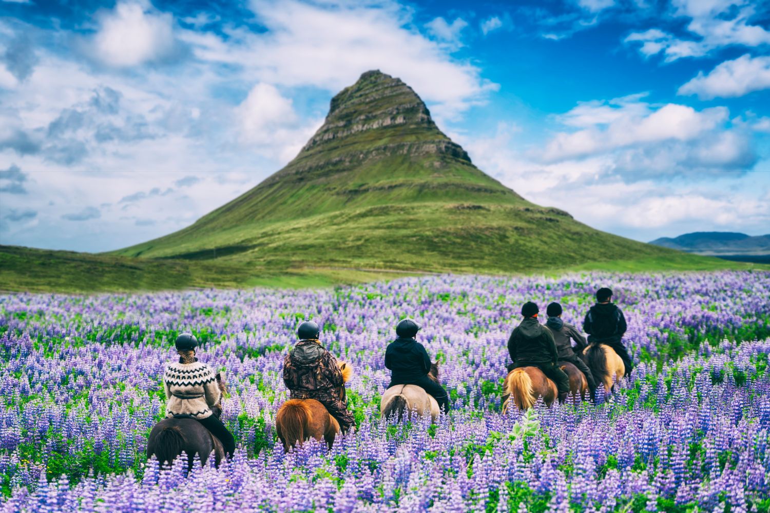 YouDiscover_Island