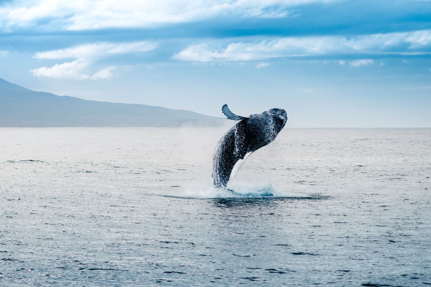 YouDiscover_Island
